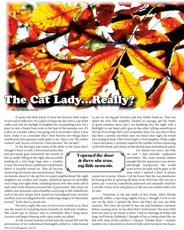 Fall 2017- page 18